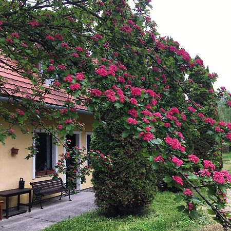 Bakonyi Kemencésház Hotel Bakonybél Kültér fotó